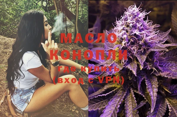 индика Абаза