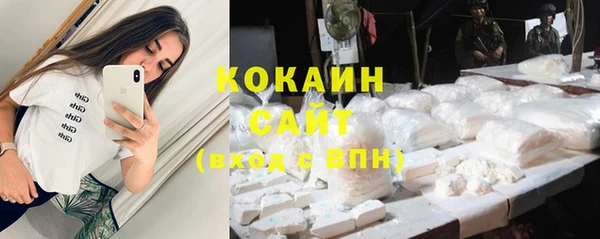 шишки Абдулино