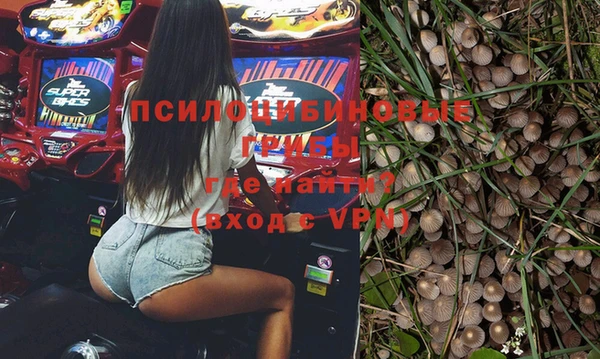 герыч Щучье