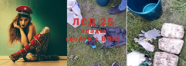 индика Абаза