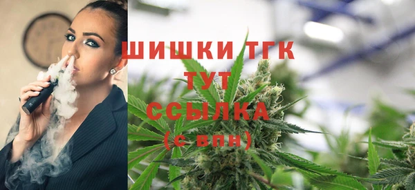 индика Абаза